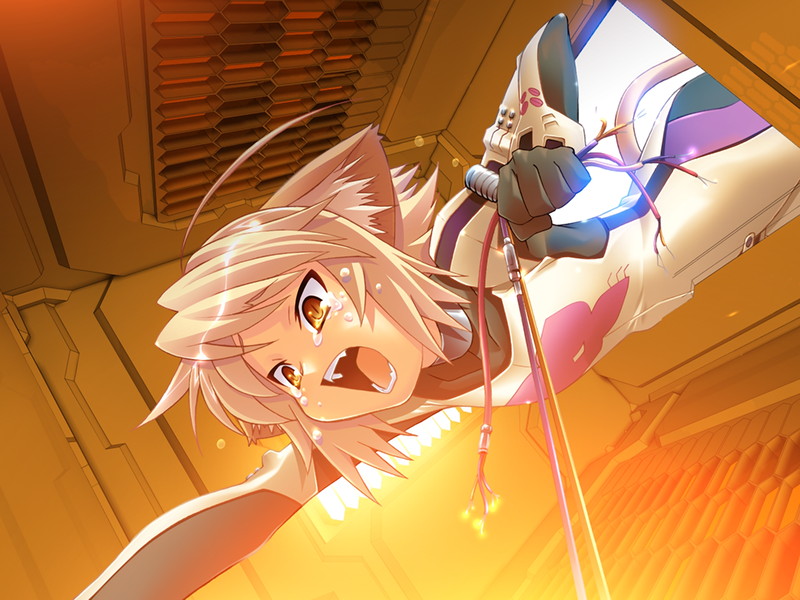 c1327488sample11.jpg c1327488sample11.jpg