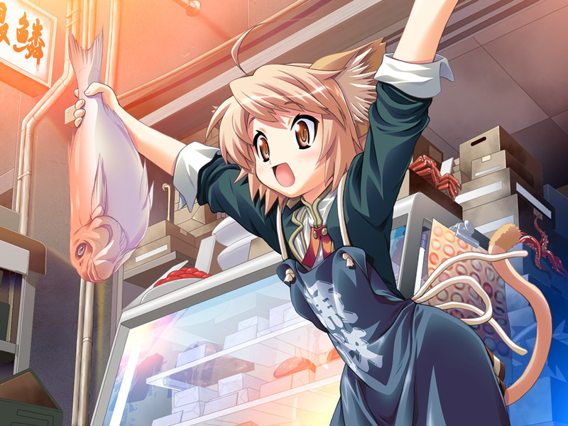 c1327488sample8.jpg c1327488sample8.jpg