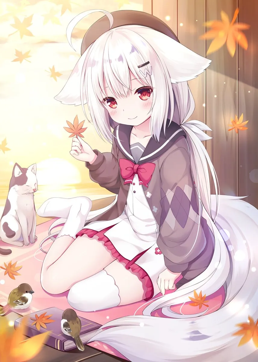 桜庭光.webp