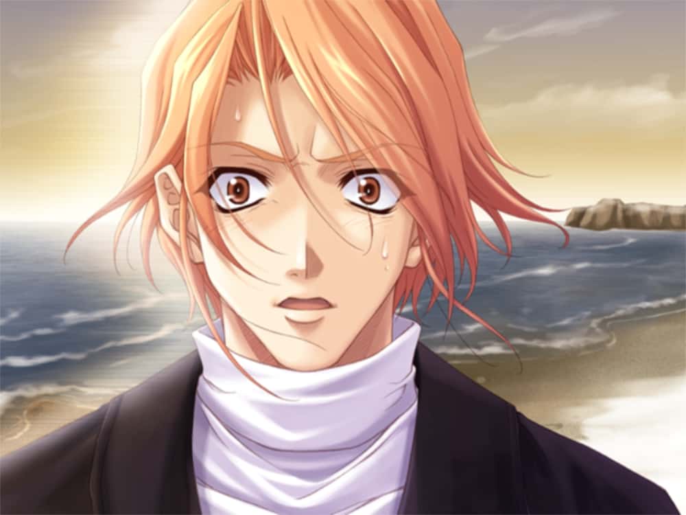 黄油日记240.Remember11 -the age of infinity-