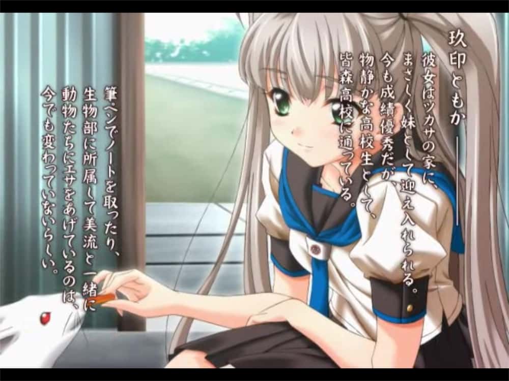 黄油日记243.龍刻 RYU-KOKU